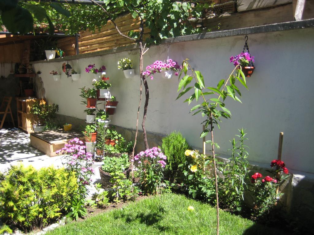 Aseva House Guest House Bansko Exterior foto